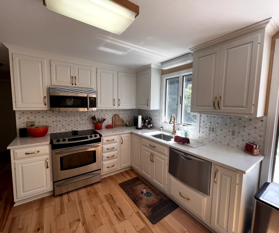 Portfolio 8 kitchen cabinet painting