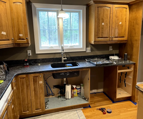 Portfolio 5 kitchen cabinet painting
